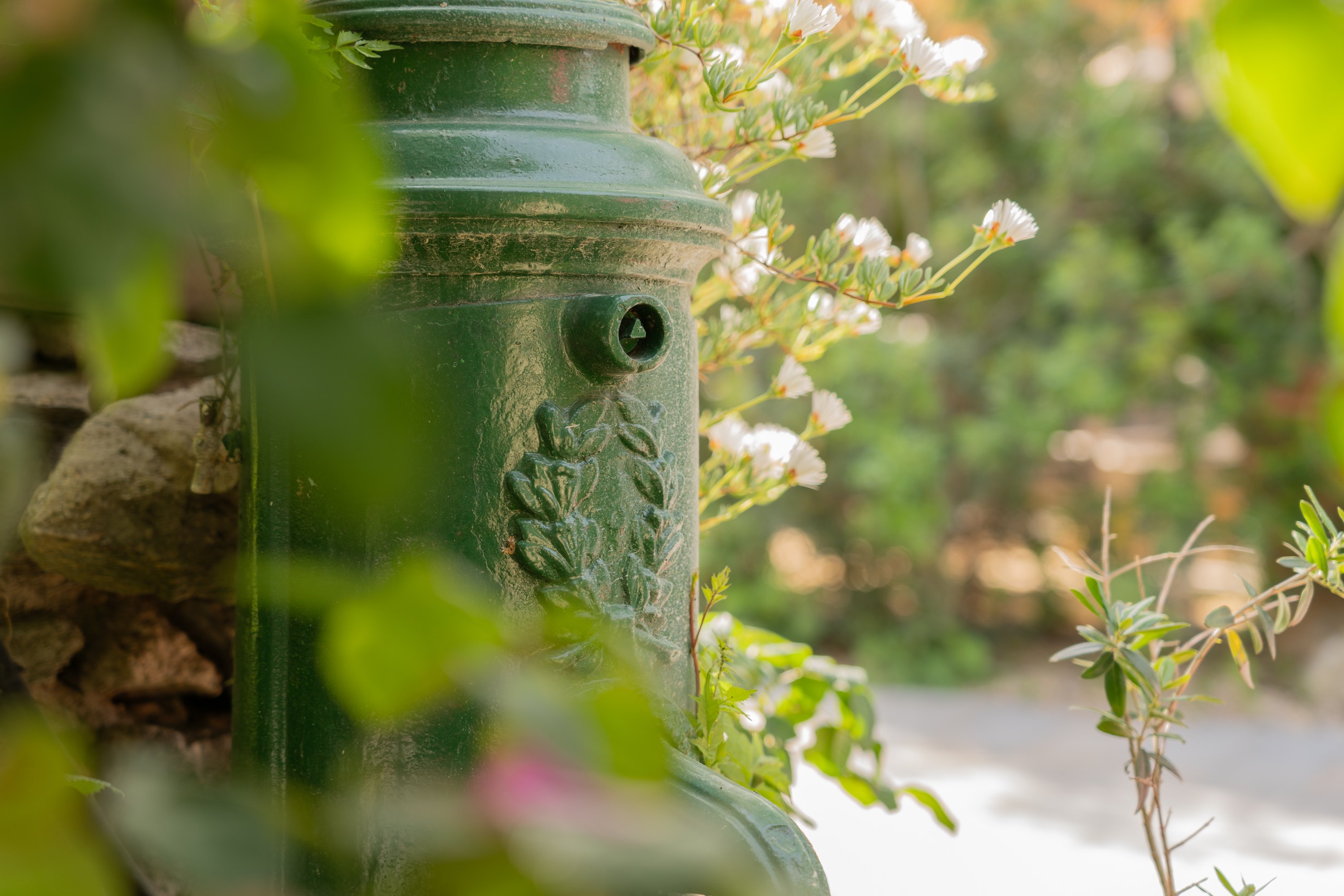 Garden detail